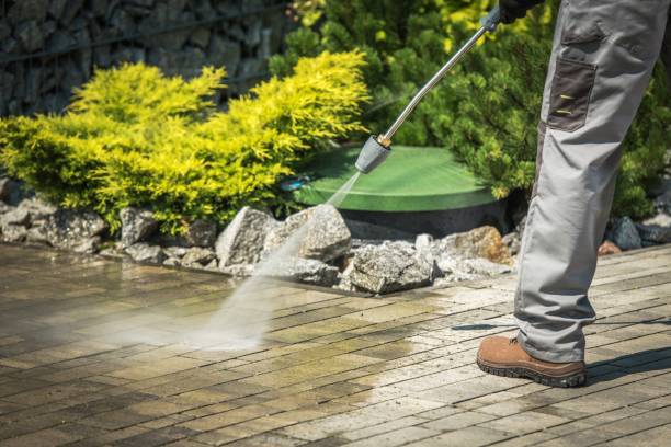Best Residential Exterior Washing  in Tellico Plains, TN
