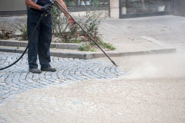 Best Sidewalk and Walkway Cleaning  in Tellico Plains, TN